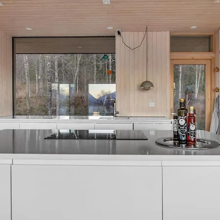 Borealis Funkisvilla Villa