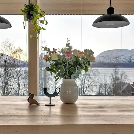 Villa Borealis Funkisvilla Tromsø